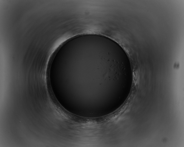 X0000102340196200808081139