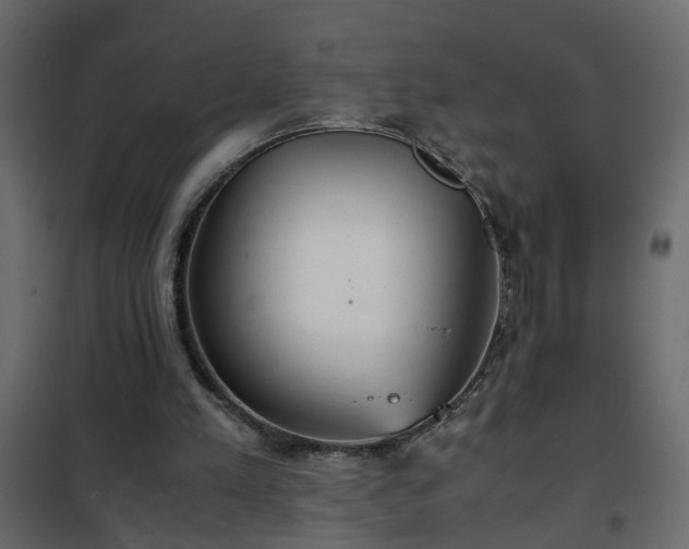 X0000102340197200808081139