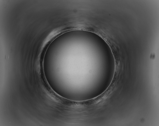 X0000102340198200808081139