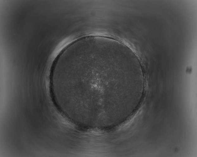 X0000102340199200808081139