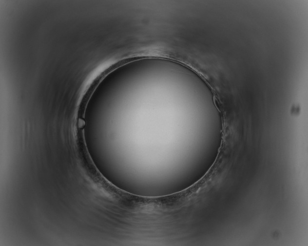 X0000102340200200808081139