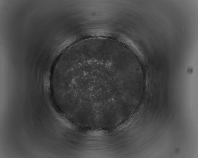 X0000102340202200808081139