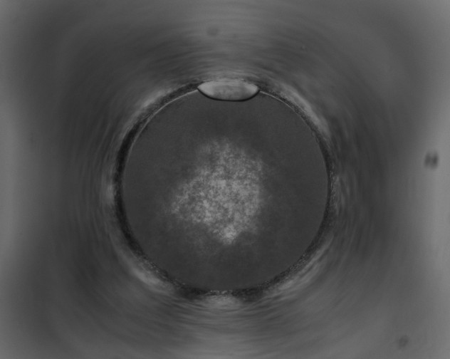 X0000102340203200808081139