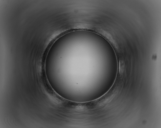 X0000102340204200808081139