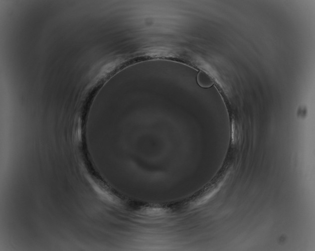 X0000102340205200808081139