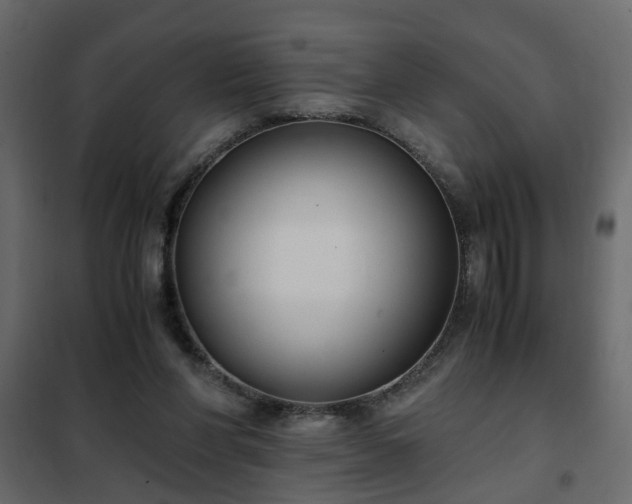 X0000102340206200808081139