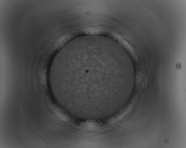 X0000102340209200808081139