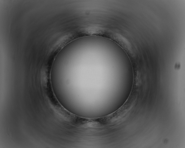 X0000102340210200808081139