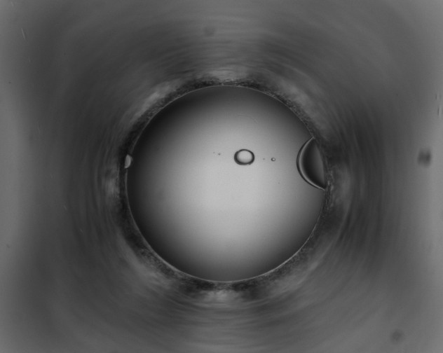 X0000102340212200808081138