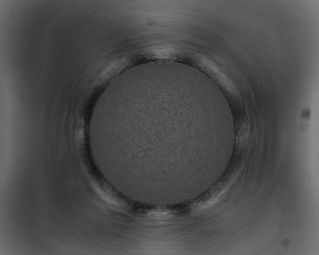 X0000102340213200808081138