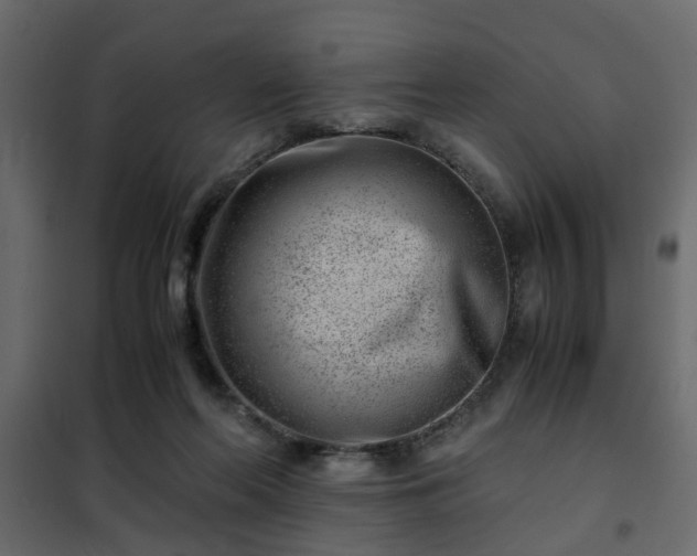 X0000102340214200808081138