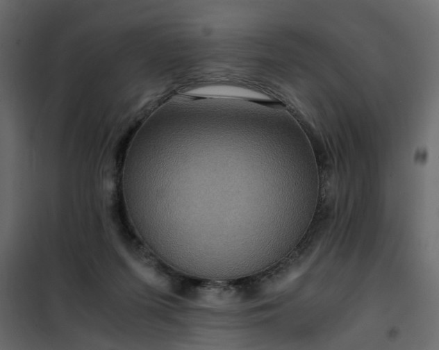 X0000102340215200808081138