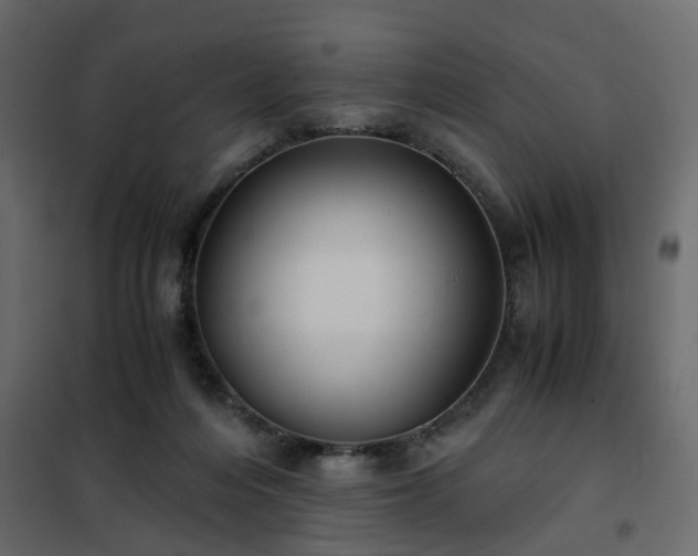 X0000102340216200808081138