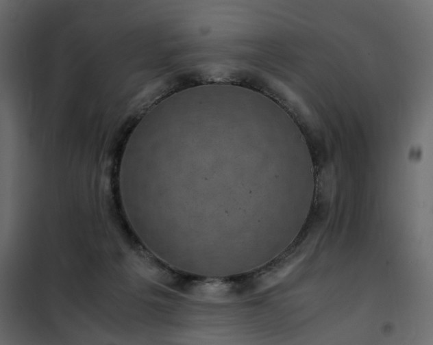 X0000102340217200808081138