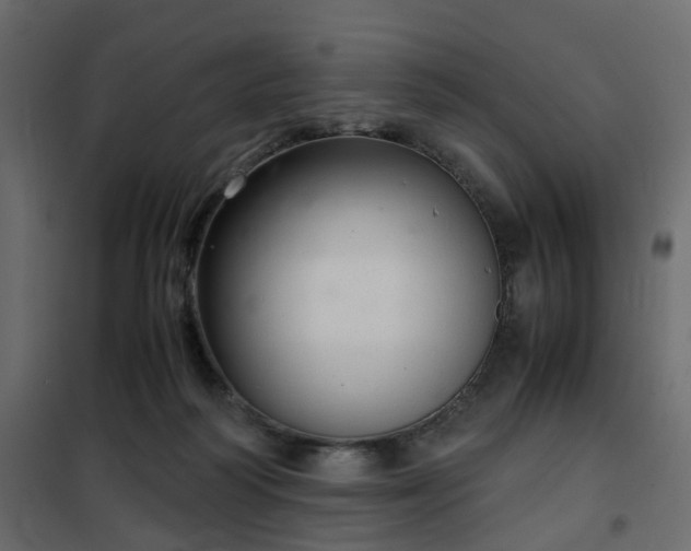 X0000102340218200808081138