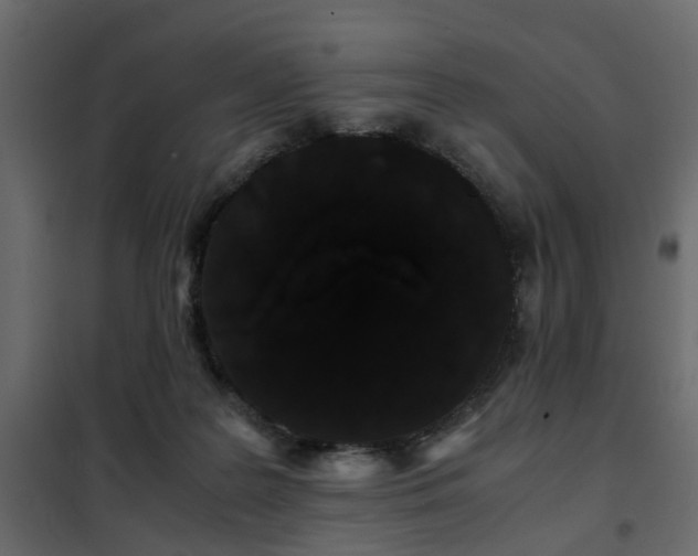 X0000102340219200808081138