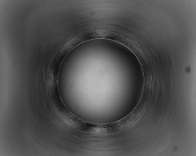 X0000102340220200808081138