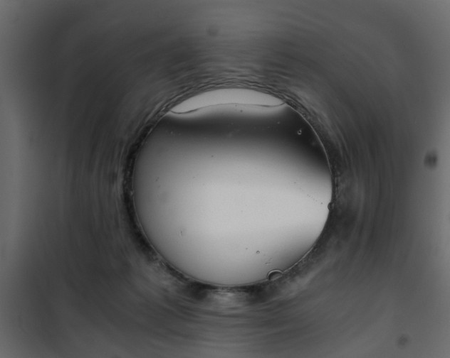 X0000102340221200808081138