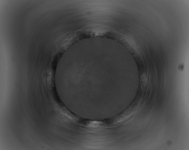 X0000102340222200808081138