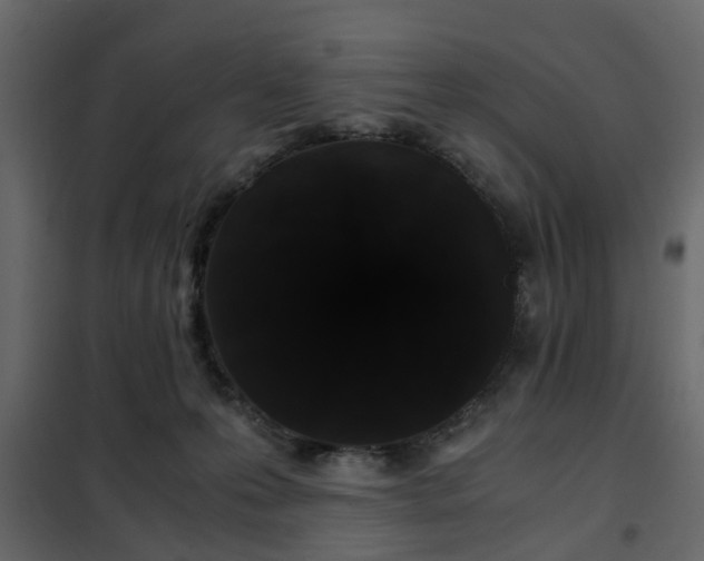 X0000102340223200808081138