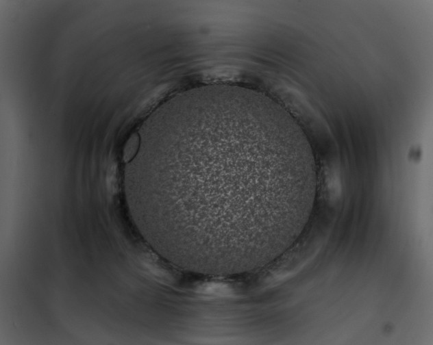 X0000102340224200808081138