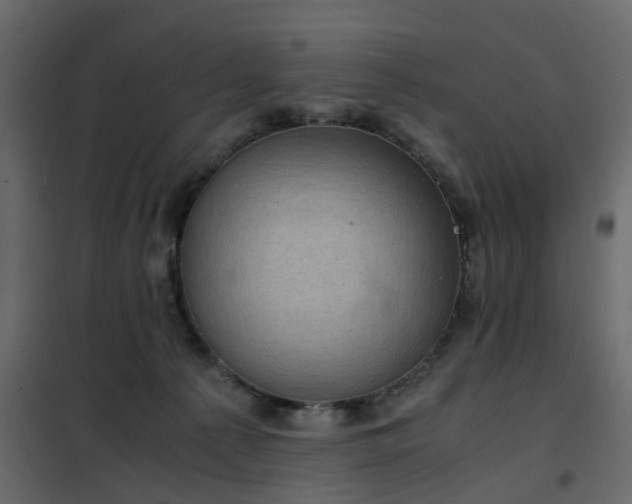 X0000102340225200808081138