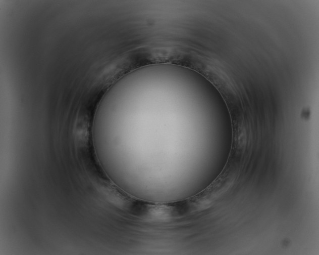 X0000102340226200808081138