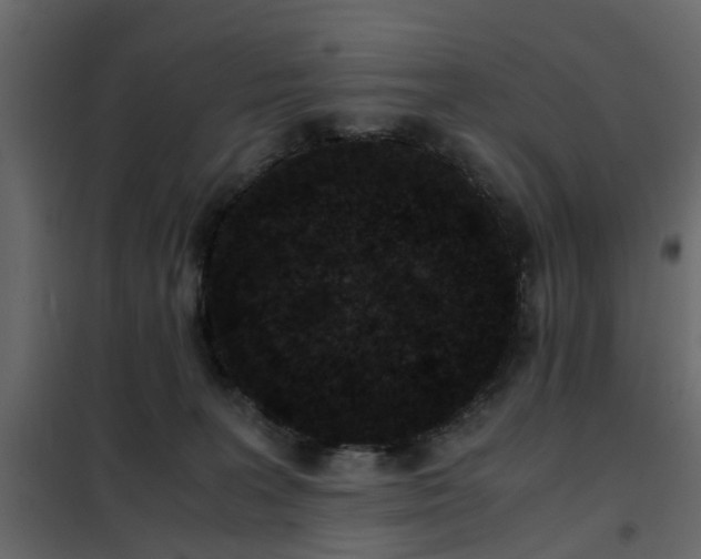 X0000102340227200808081138