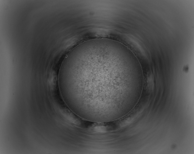 X0000102340228200808081138