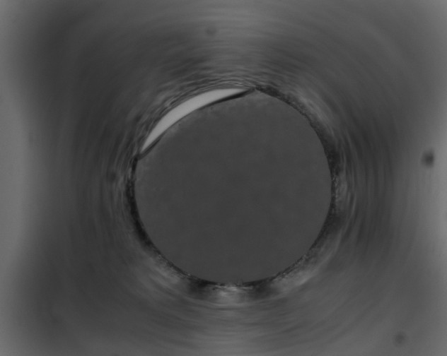 X0000102340229200808081138