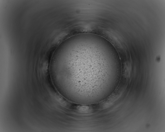 X0000102340230200808081138