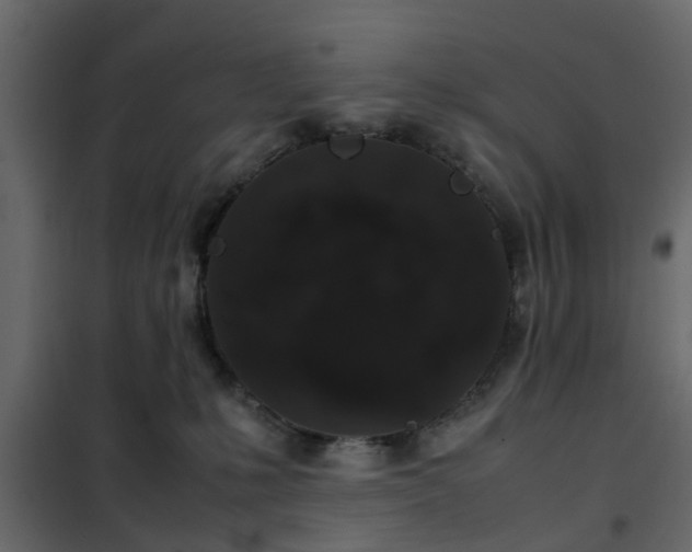 X0000102340231200808081138