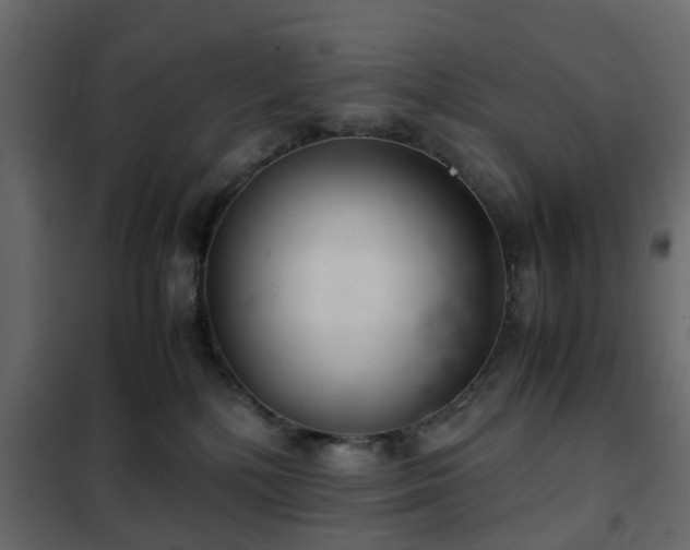 X0000102340232200808081138