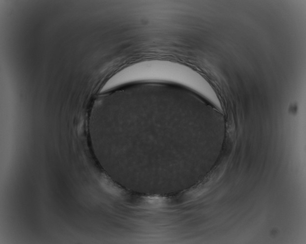 X0000102340233200808081138