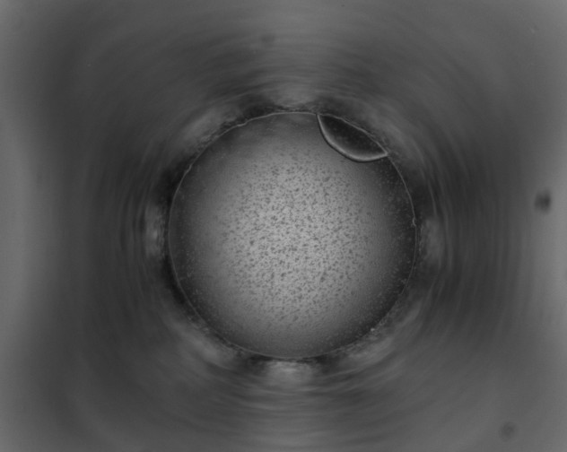 X0000102340234200808081138