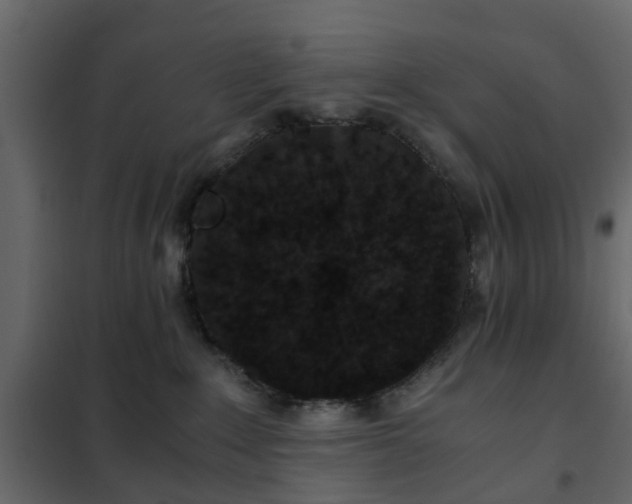 X0000102340235200808081138