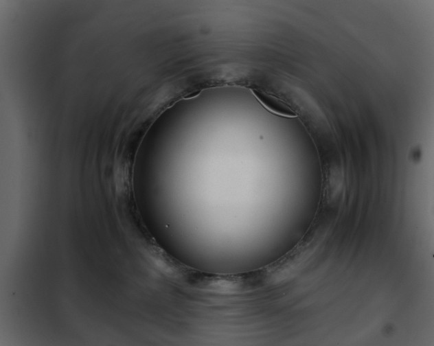 X0000102340236200808081138