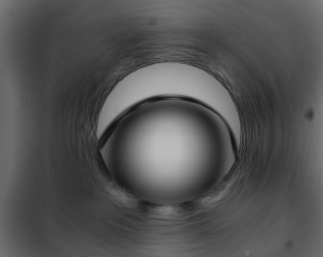 X0000102340237200808081138