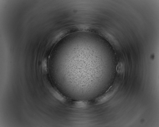 X0000102340238200808081138