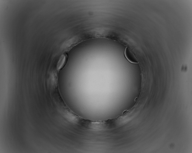 X0000102340240200808081138