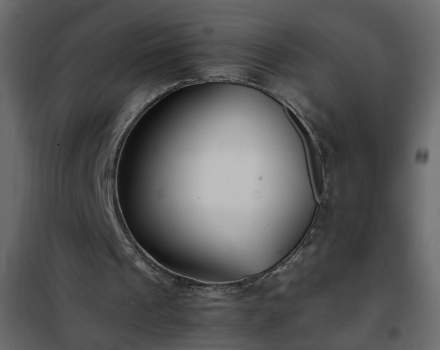 X0000102340241200808081137