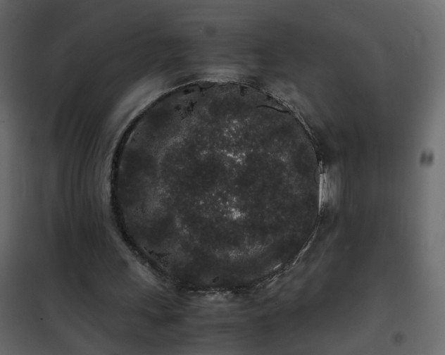 X0000102340243200808081137