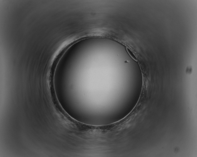 X0000102340244200808081137