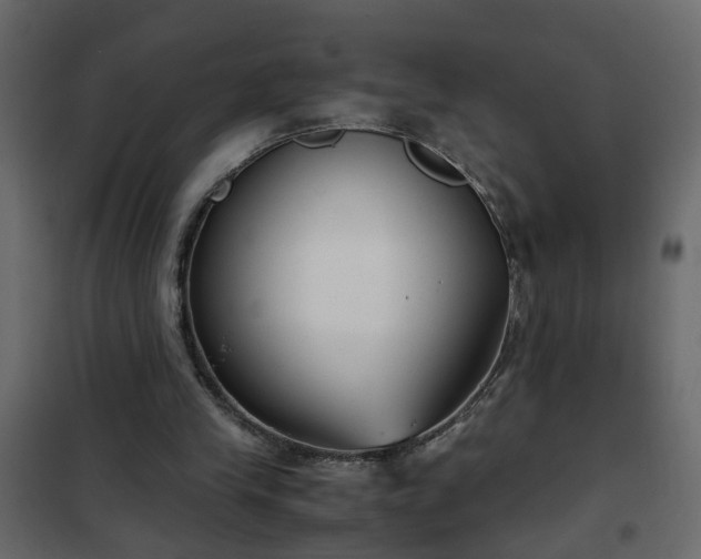 X0000102340245200808081137