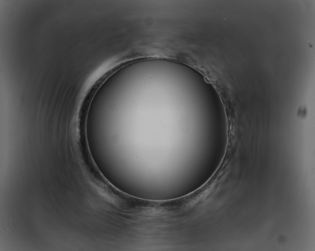 X0000102340246200808081137