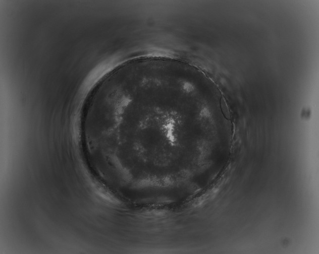 X0000102340247200808081137