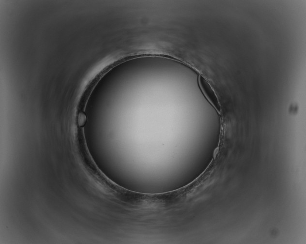 X0000102340248200808081137