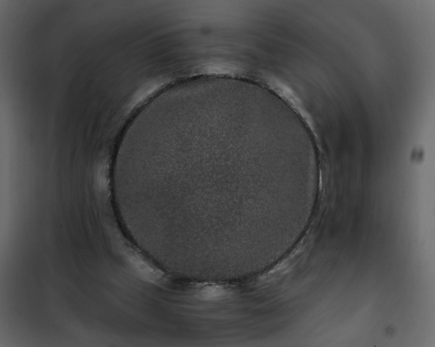 X0000102340249200808081137