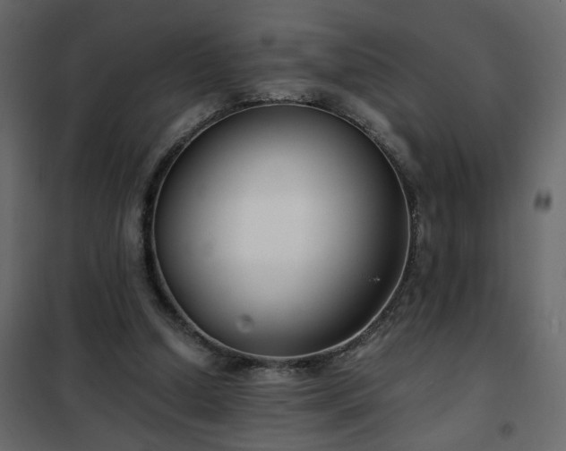 X0000102340250200808081137