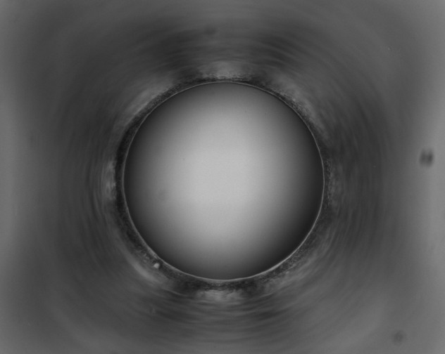 X0000102340251200808081137